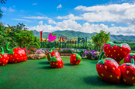 泰国清迈PAI县拜县草莓园背景图片