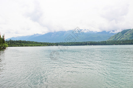 喀纳斯夏新疆喀纳斯湖背景