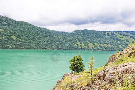 喀纳斯夏新疆喀纳斯湖背景