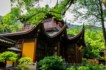 浙江春天春天的杭州灵隐寺背景