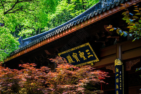 三圣花乡杭州灵隐寺三圣宝殿背景