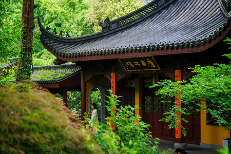 绿荫中的杭州灵隐寺寺庙图片
