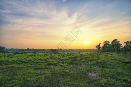 尼泊尔奇特旺国家公园夕阳风光背景图片