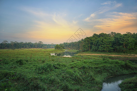 尼泊尔奇特旺国家公园夕阳风光背景图片