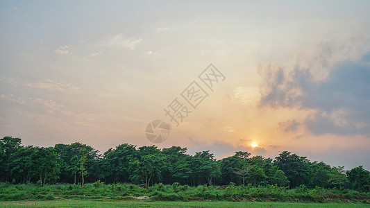 尼泊尔热带雨林奇特旺国家公园背景图片