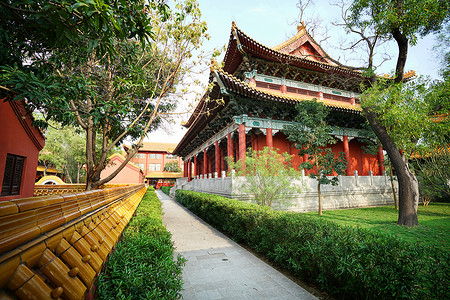 尼泊尔蓝毗尼中华寺中国寺庙背景图片