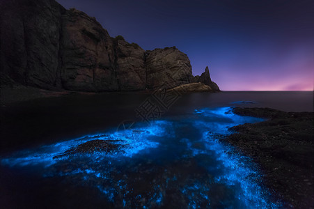 星空海荧光海背景