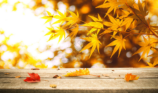 秋季树叶秋天设计图片