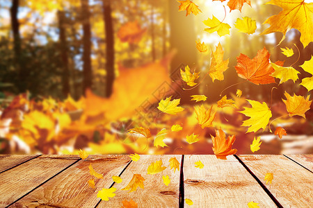 植被叶子秋季落叶背景设计图片
