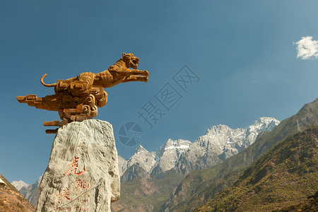 虎跳峡标志石虎背景图片