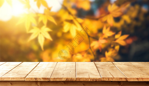 秋天森林创意秋天背景设计图片