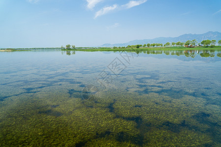 草地北京素材北京野鸭湖国家公园景色背景