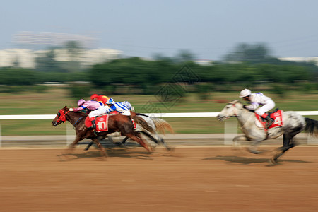 速度赛马背景图片