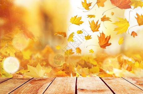 秋叶背景背景图片