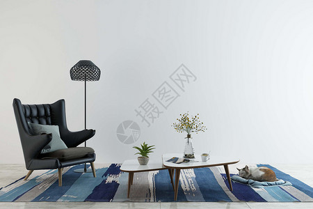 猫地毯室内桌椅组合设计图片