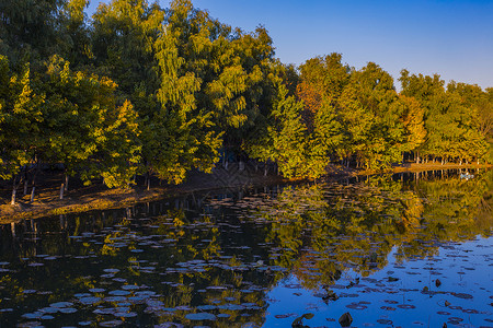 奥林匹克森林公园的秋色湖面高清图片