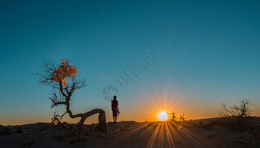 神秘美女夕阳西下胡杨林背景