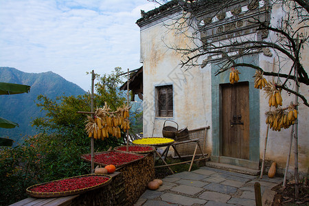 秋季山景婺源篁岭风景区晒秋背景