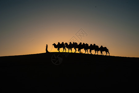 驼队日出巴丹吉林沙漠背景