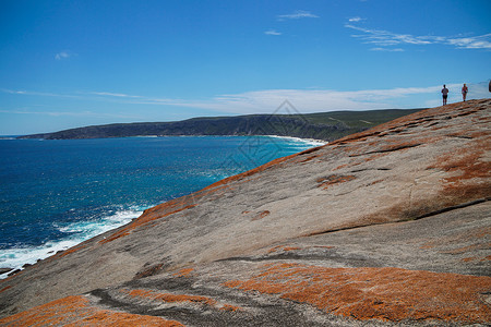 澳大利亚海豚岛澳洲南澳袋鼠岛景色背景
