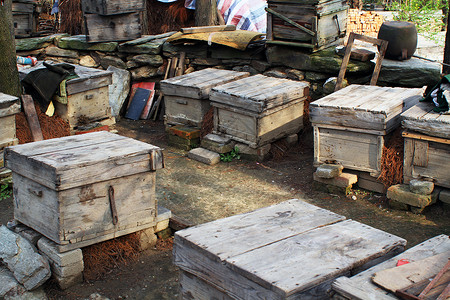 木头蜂箱养蜂人的蜂箱背景