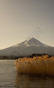 秋天的富士山背景图片
