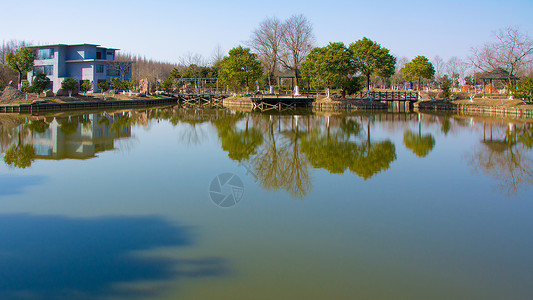 上海崇明西滩湿地公园背景图片