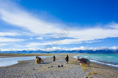 西藏羊湖风光高清图片