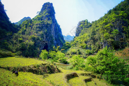 河岸上的景色广南坝美文山普者黑背景