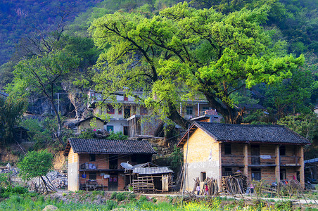 云南坝美广南坝美文山普者黑背景