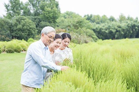 幸福一家人欣赏绿植图片