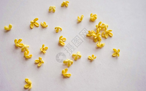 深黄色花朵桂花实用素材背景
