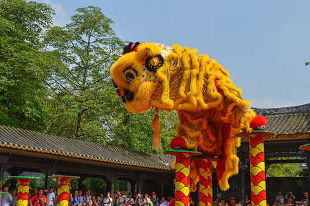 舞狮老鼠黄飞鸿故居舞狮背景