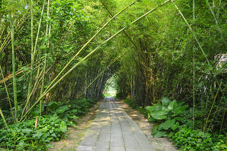 开平碉楼风景区背景