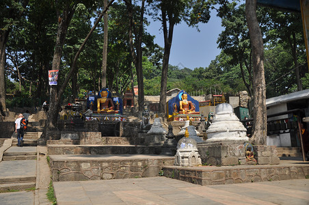 尼泊尔加德满都斯瓦扬布纳寺猴庙背景