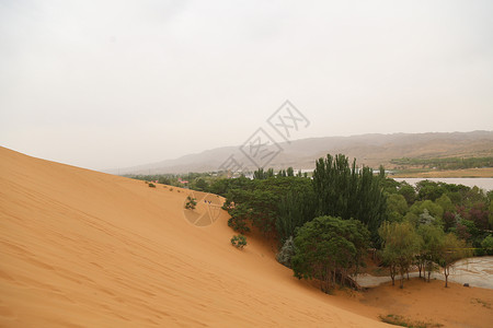 沙坡头沙漠中卫沙坡头景区背景