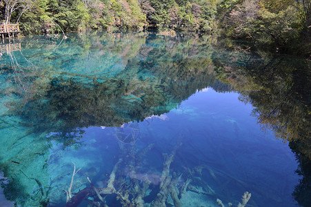 四川九寨沟风光背景图片