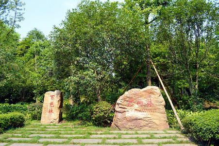 小平同志广安邓小平故里背景