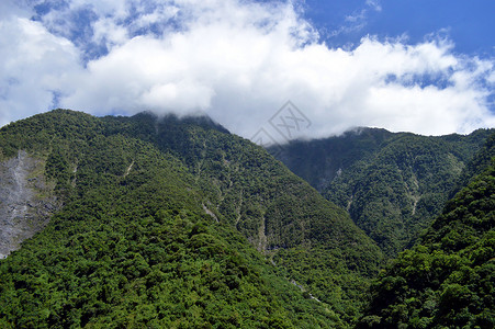 台湾太鲁阁清水断崖背景图片