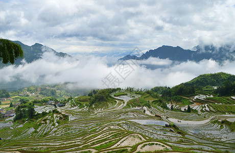 丽水云和梯田背景图片