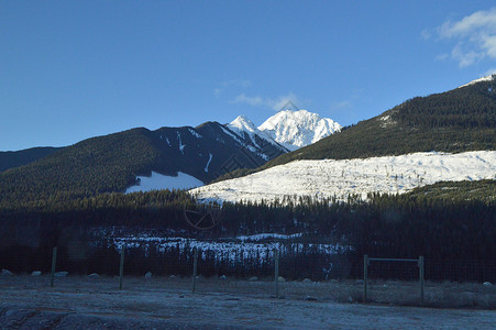 加拿大班夫国家公园雪景背景