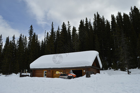 集装箱雪夫加拿大班夫国家公园雪景背景