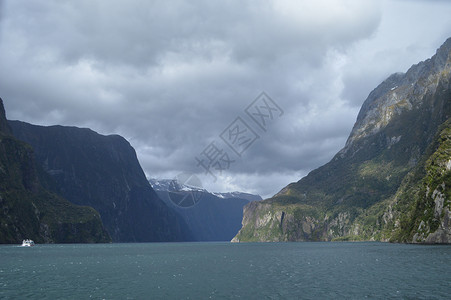 斯特兰福德新西兰米尔福德峡湾背景