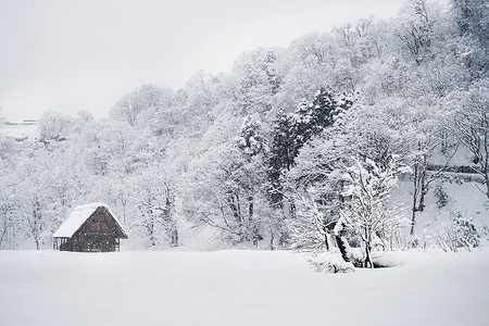日本白川乡雪景高清图片