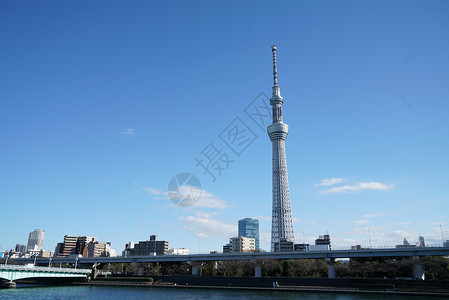 东京晴空塔高清日本东京地标天空树东京晴空塔背景