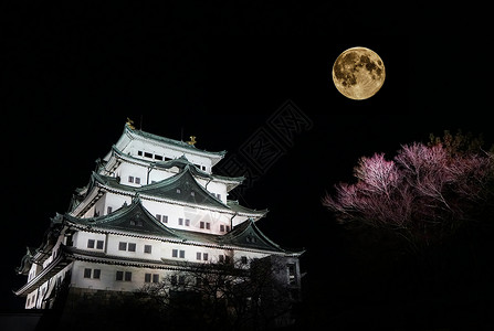 日本名古屋天守阁夜景背景图片