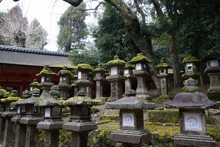 日本奈良平城宫药师寺背景图片