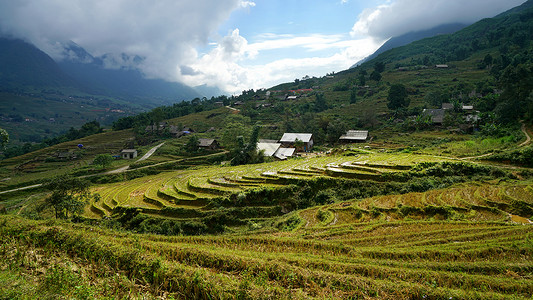 越南沙坝田园风光背景