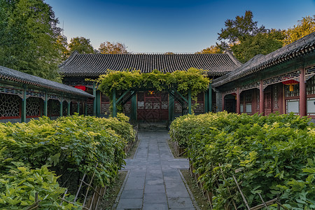 北京恭王府牡丹院.红灯笼图片