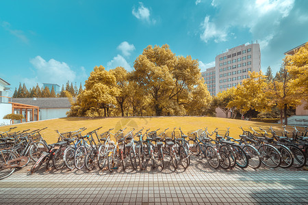 城市一隅上海同济大学校园一隅背景